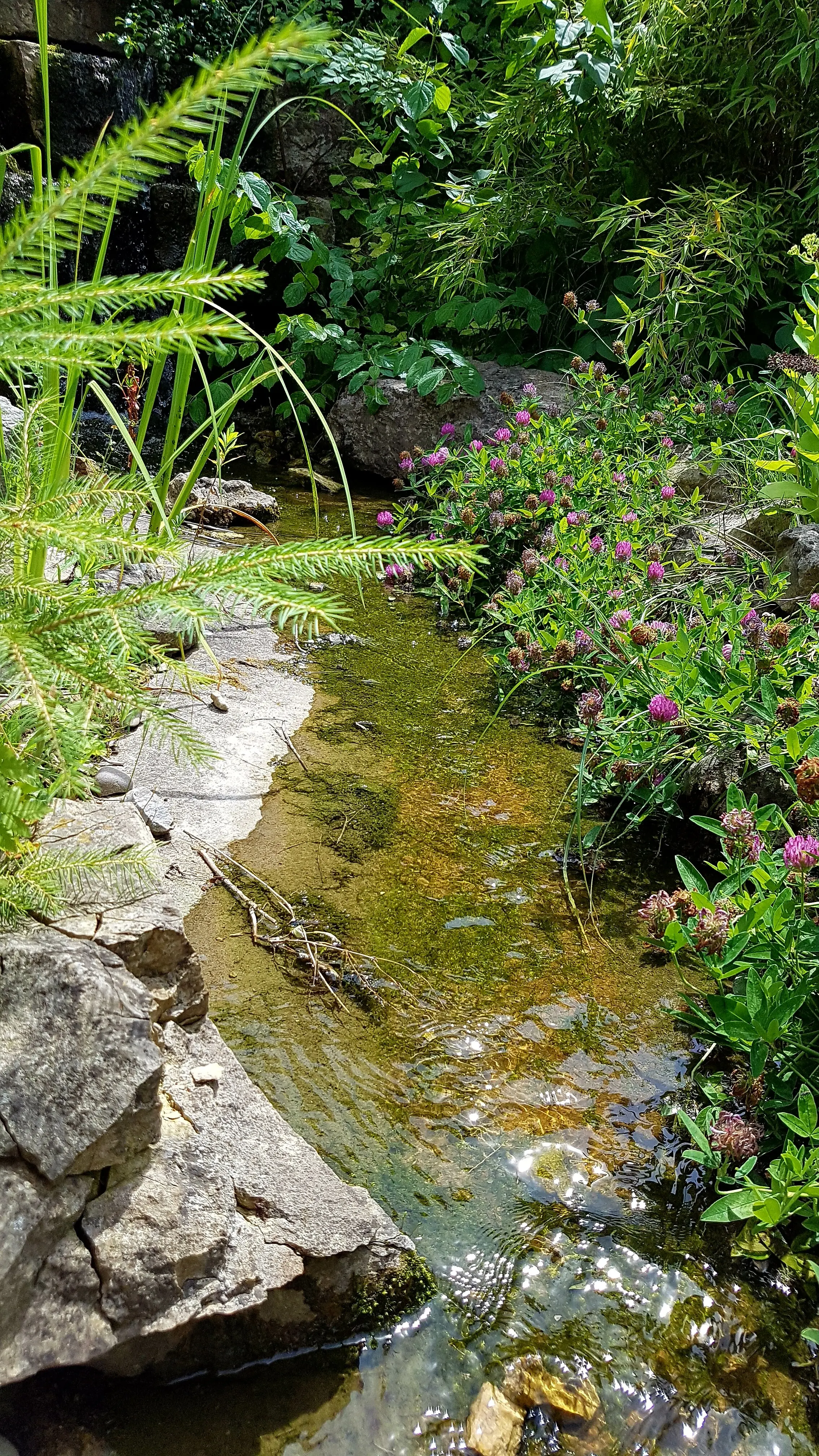 Please provide the original description to rephrase.