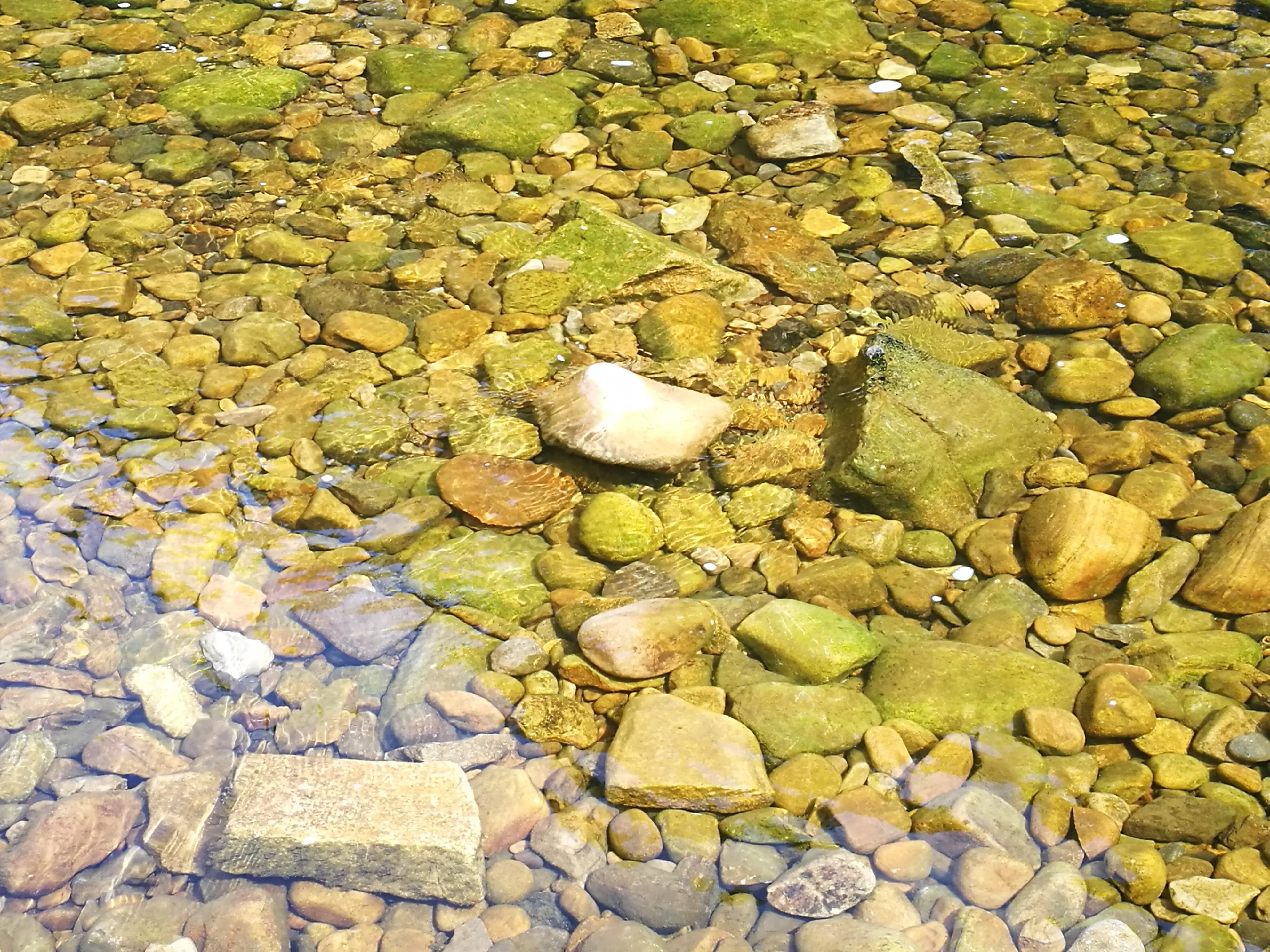 Overhead view of stones in water