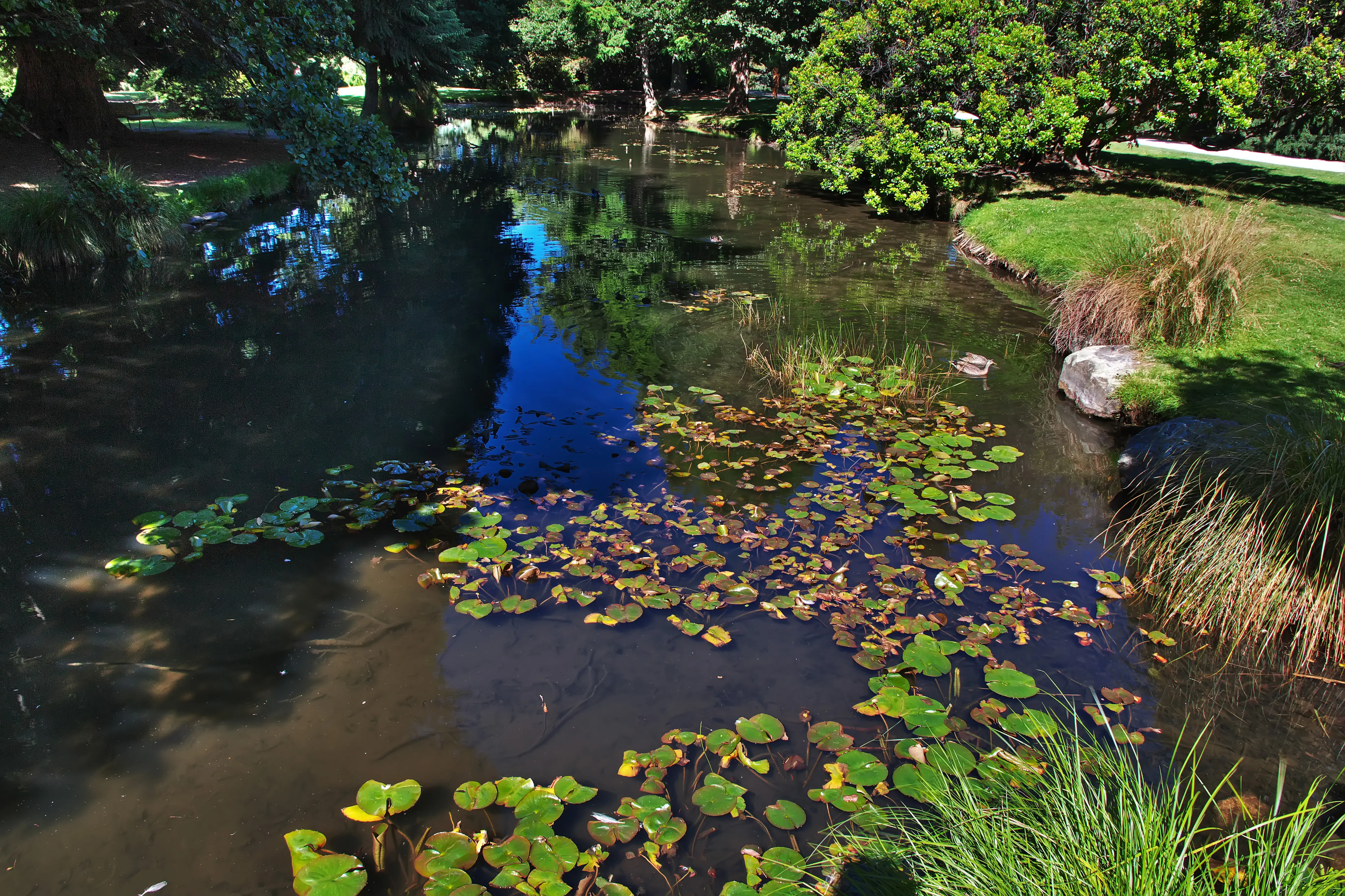The Botanic Garden in the city of Queenstown, New Zealand.