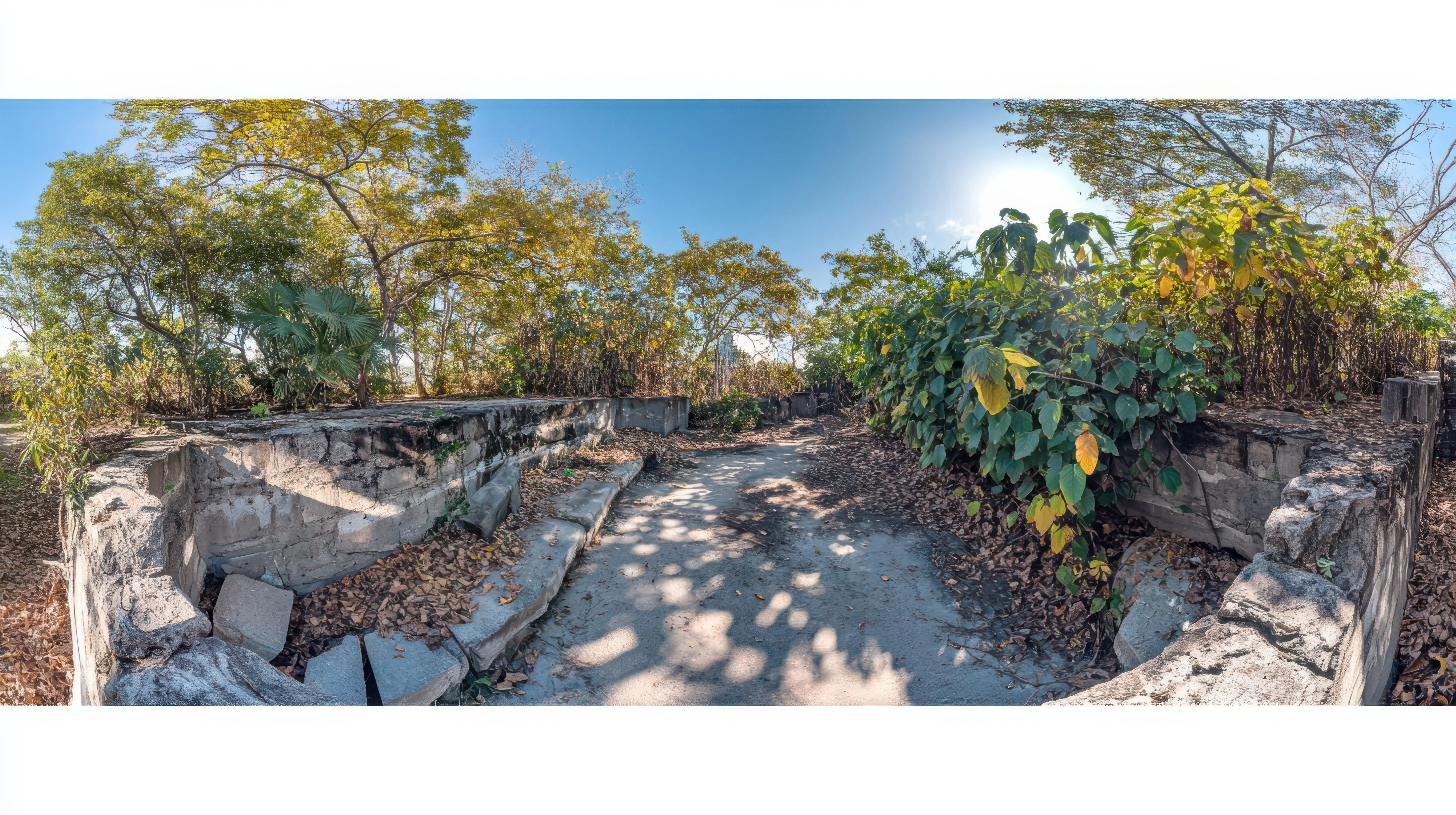 Ruins overgrown with vibrant foliage and the remains of stone structures.