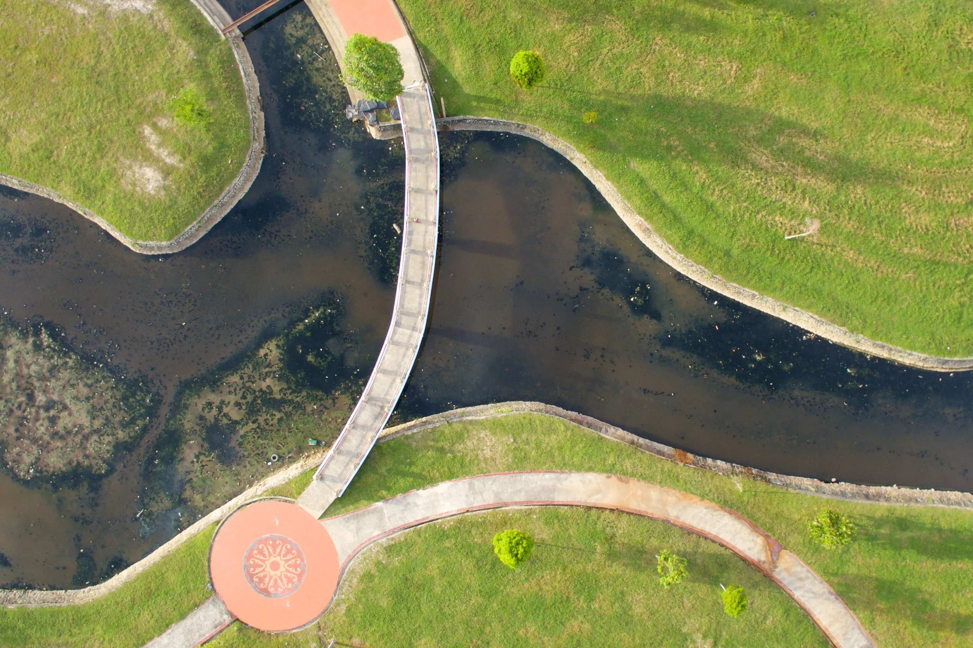 Overhead view of grass in water