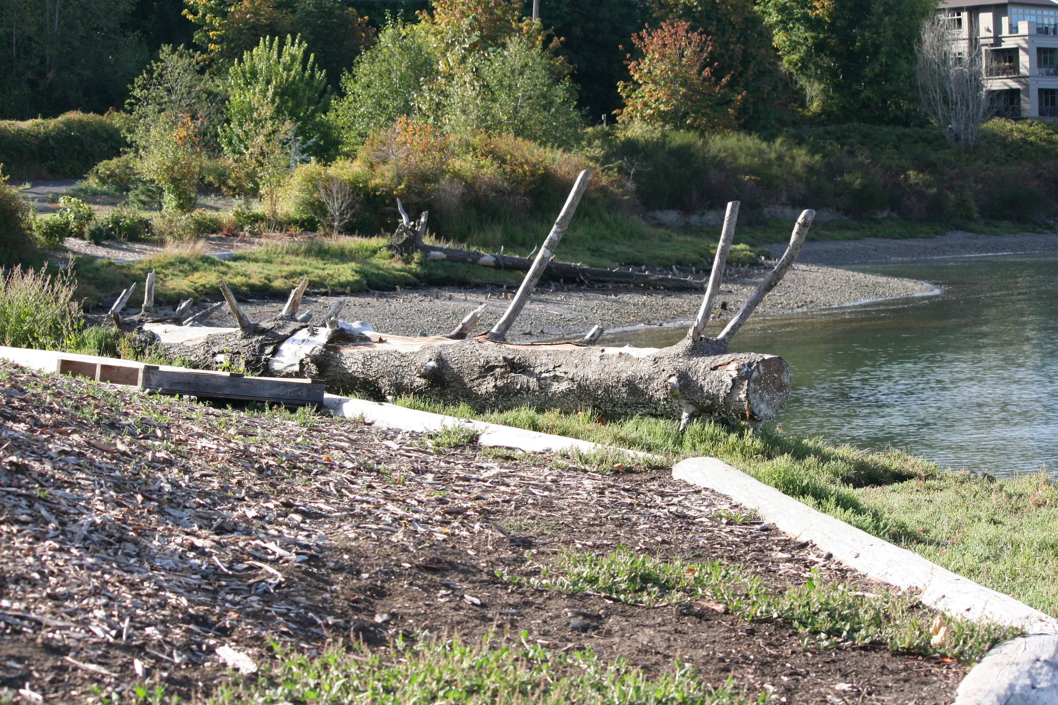 Picturesque view of trees